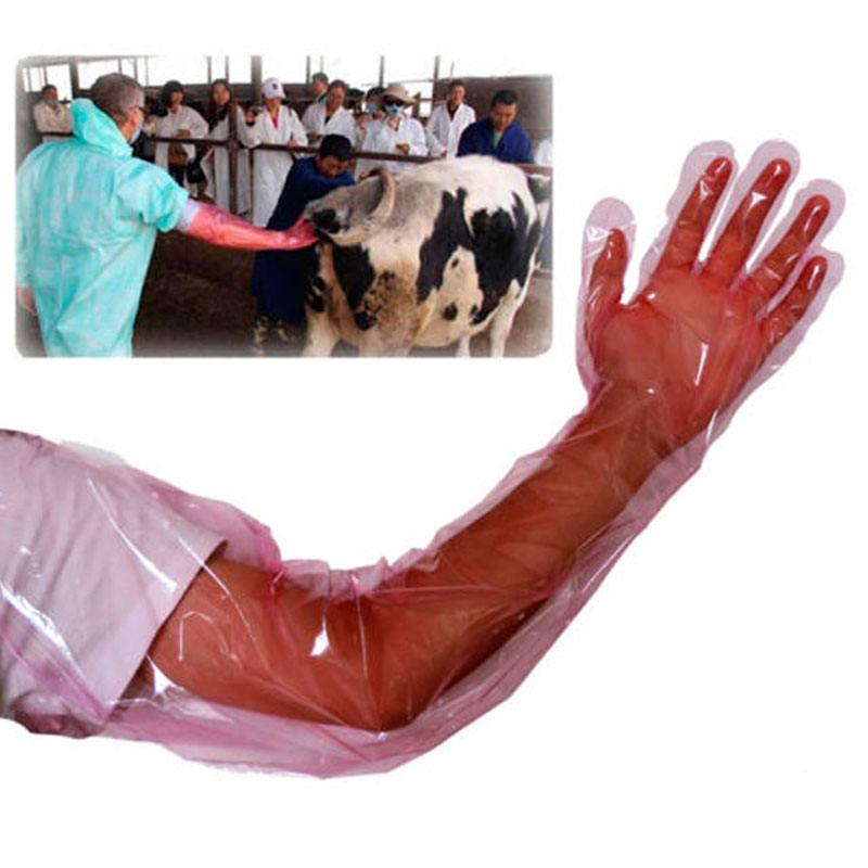 Máquina de guantes obstétricos para animales desechables